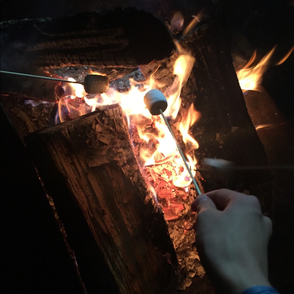 Meet your Posher, Kyra